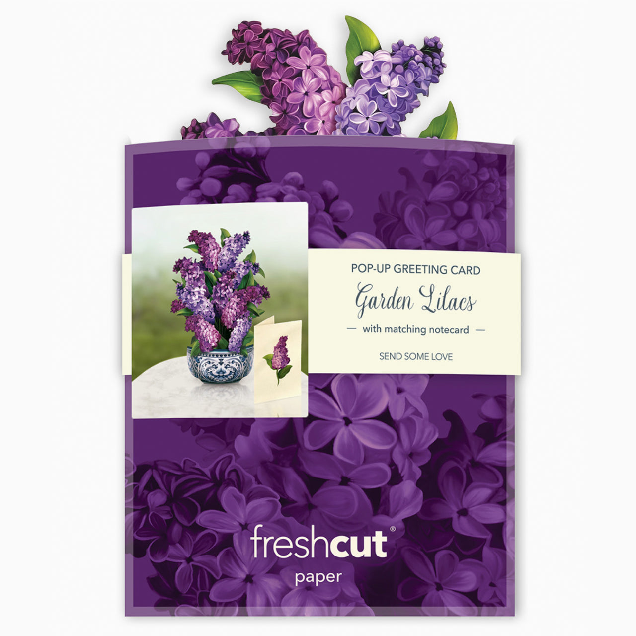 Mini Garden Lilacs Pop Up Greeting Card