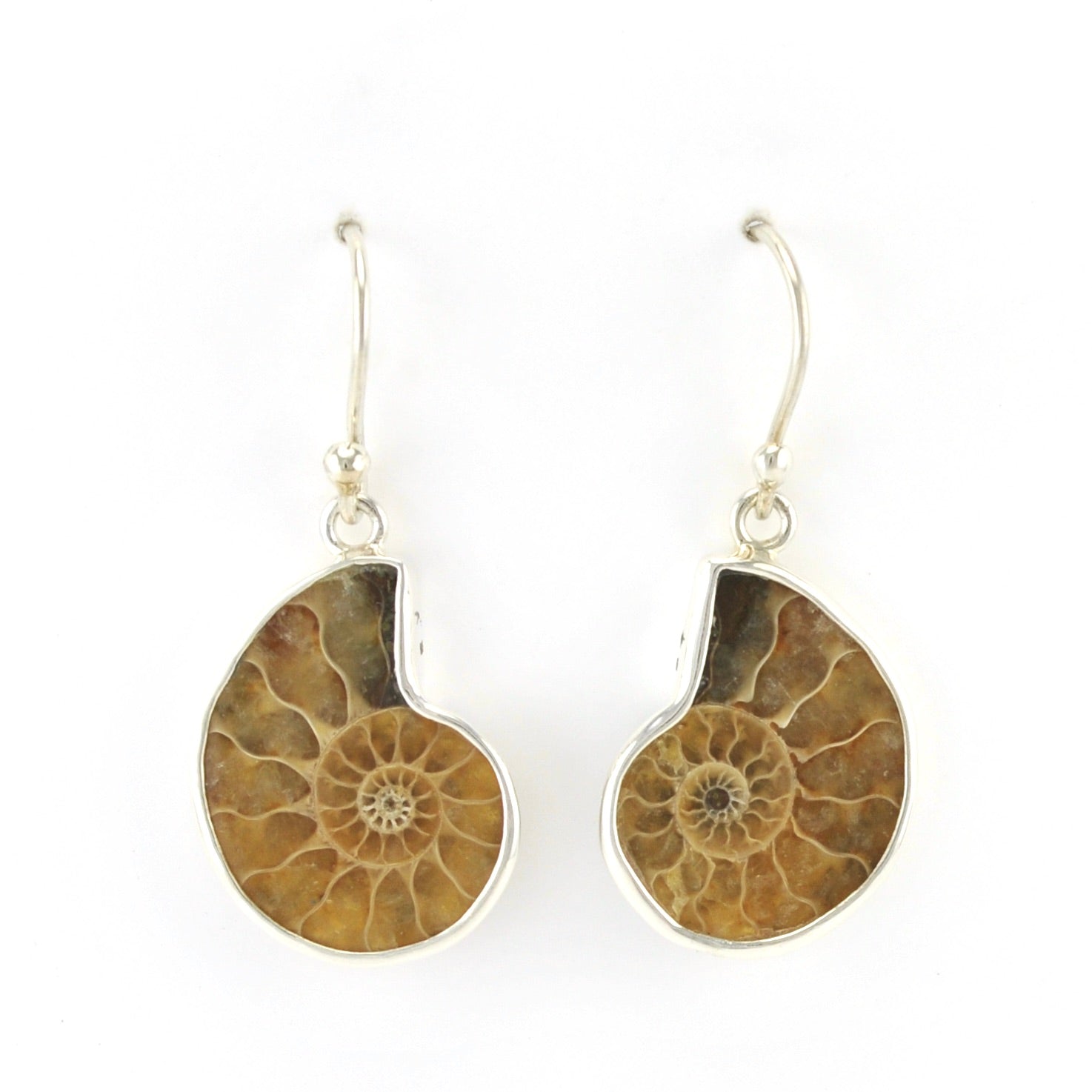 Sterling Silver Ammonite Dangle Earrings