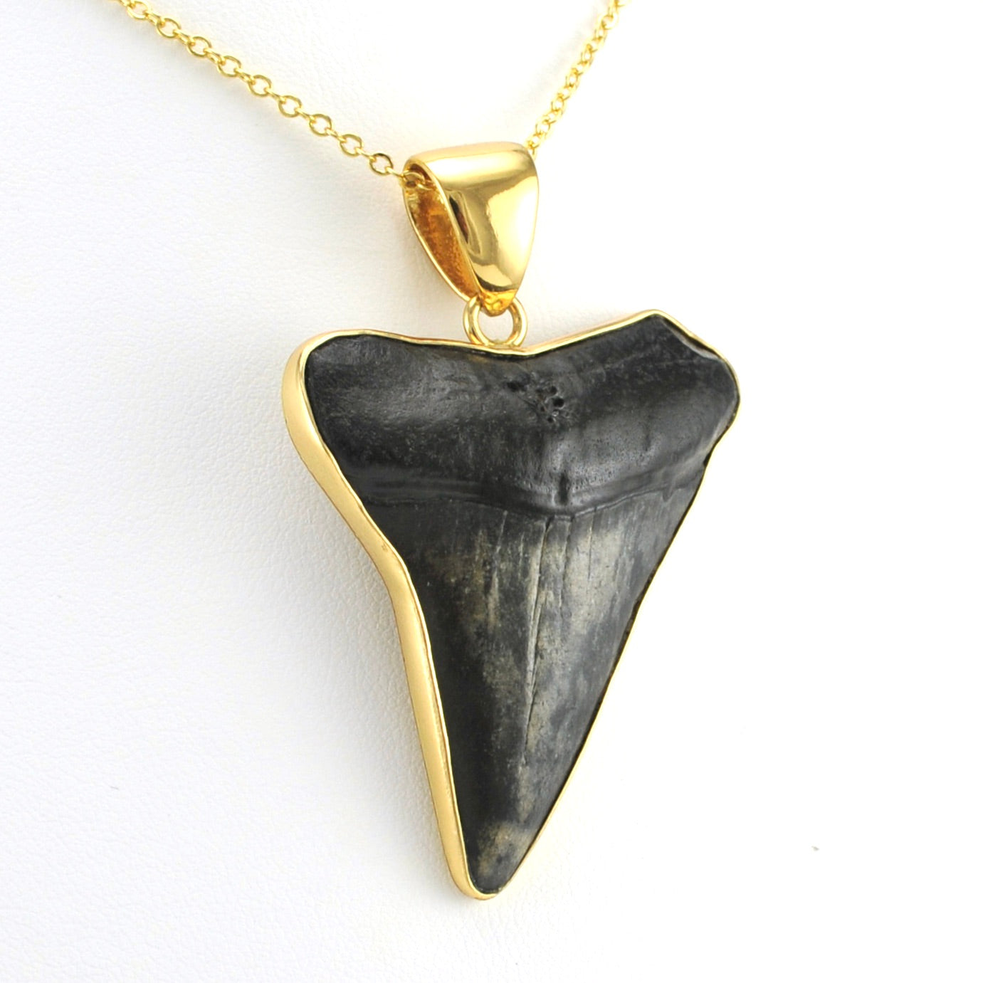 Alt View Alchemía Fossil Megalodon Tooth Pendant
