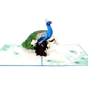 Peacock Pop Up Card