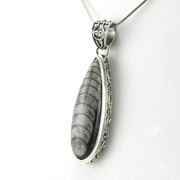 Sterling Silver Orthocerus Fossil Tear Bali Pendant