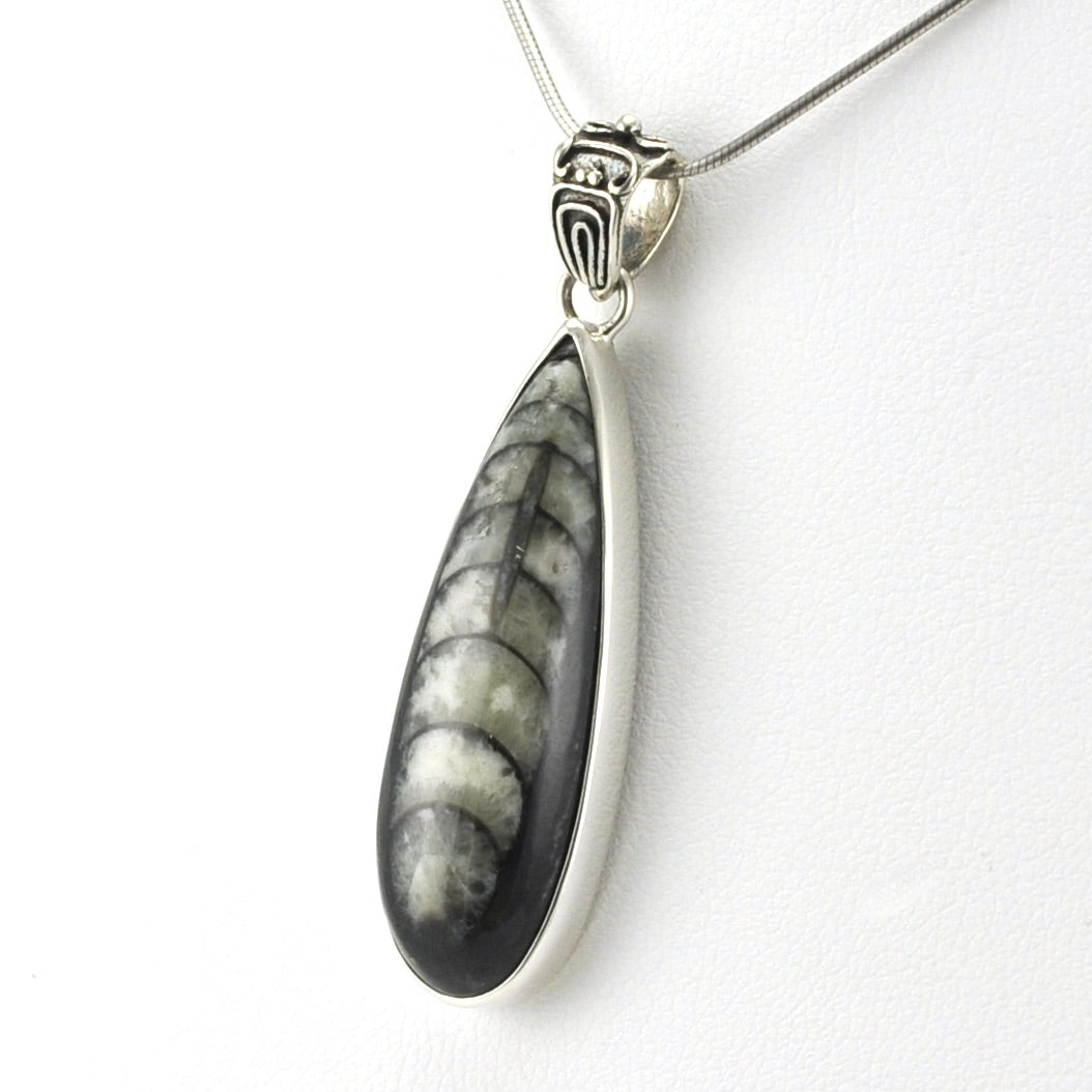 Sterling Silver Orthocerus Fossil Pendant