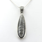 Alt View Sterling Silver Orthocerus Fossil Tear Bali Pendant