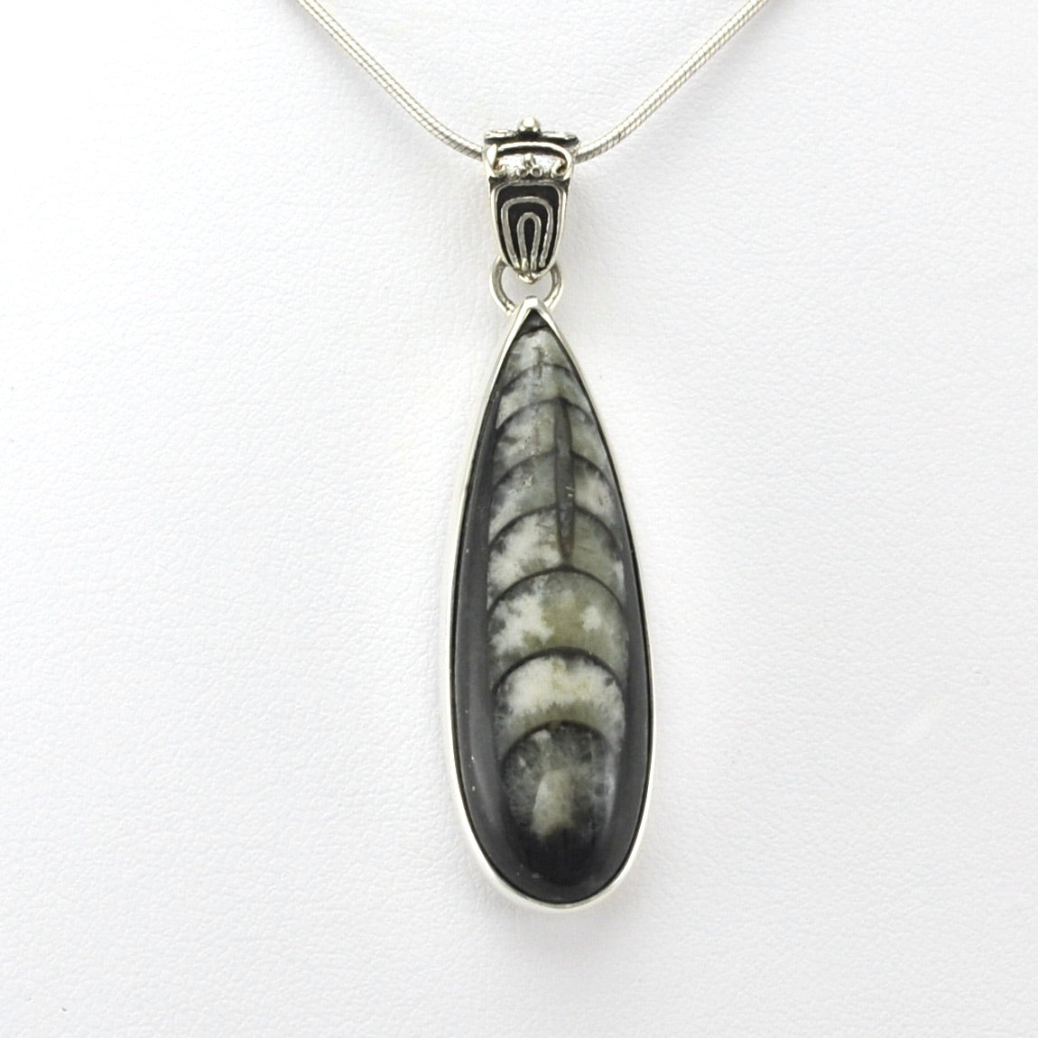 Alt View Sterling Silver Orthocerus Fossil Pendant