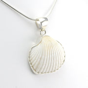 Side View Sterling Silver White Ark Shell Pendant