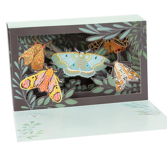Moths Shadowbox Greeting Card