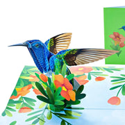 Alt View Hummingbird Pop Up Card