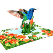 Hummingbird Pop Up Card