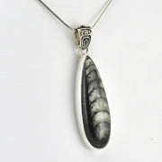 Side View Sterling Silver Orthocerus Fossil Pendant