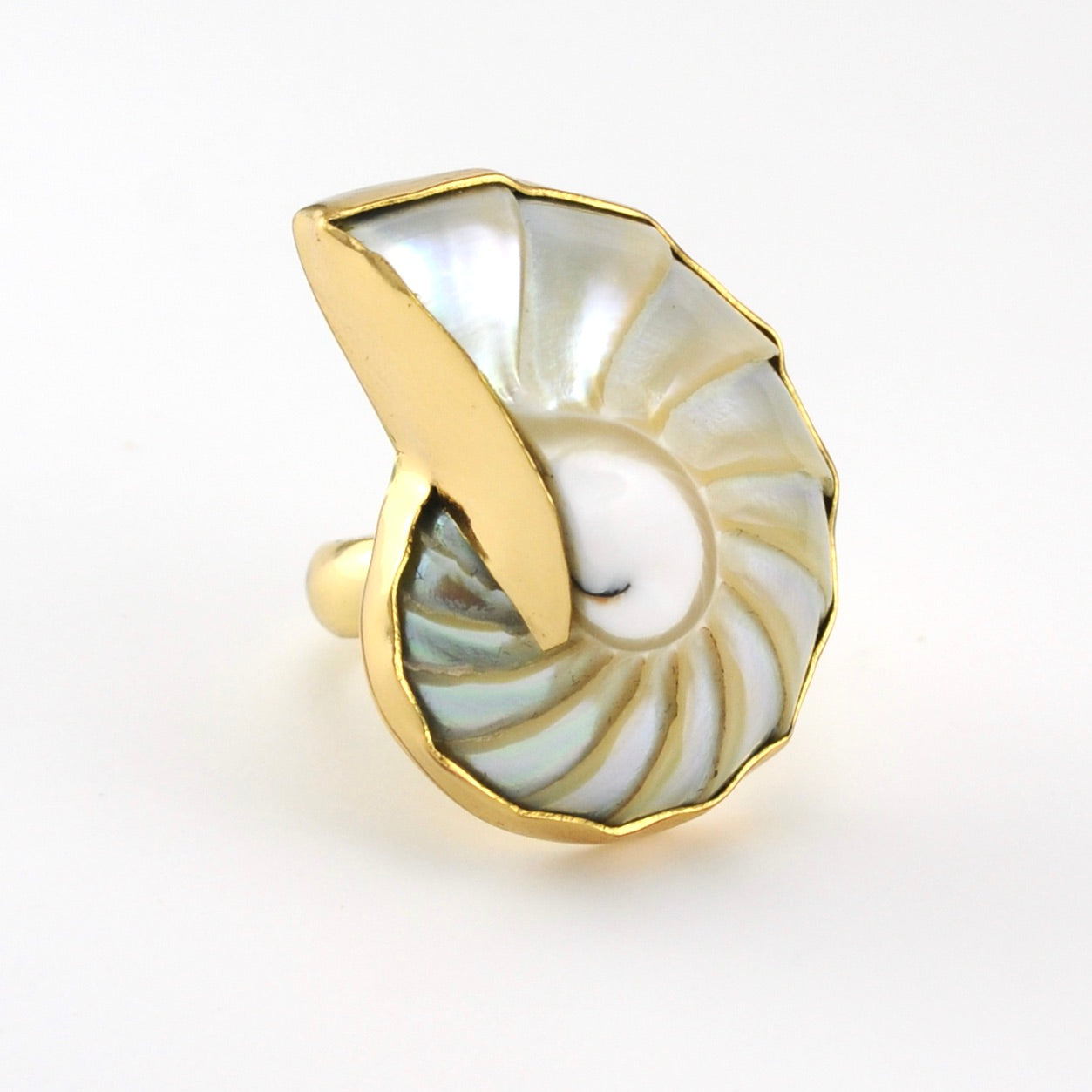 Alchemia Nautilus Shell Adjustable Ring