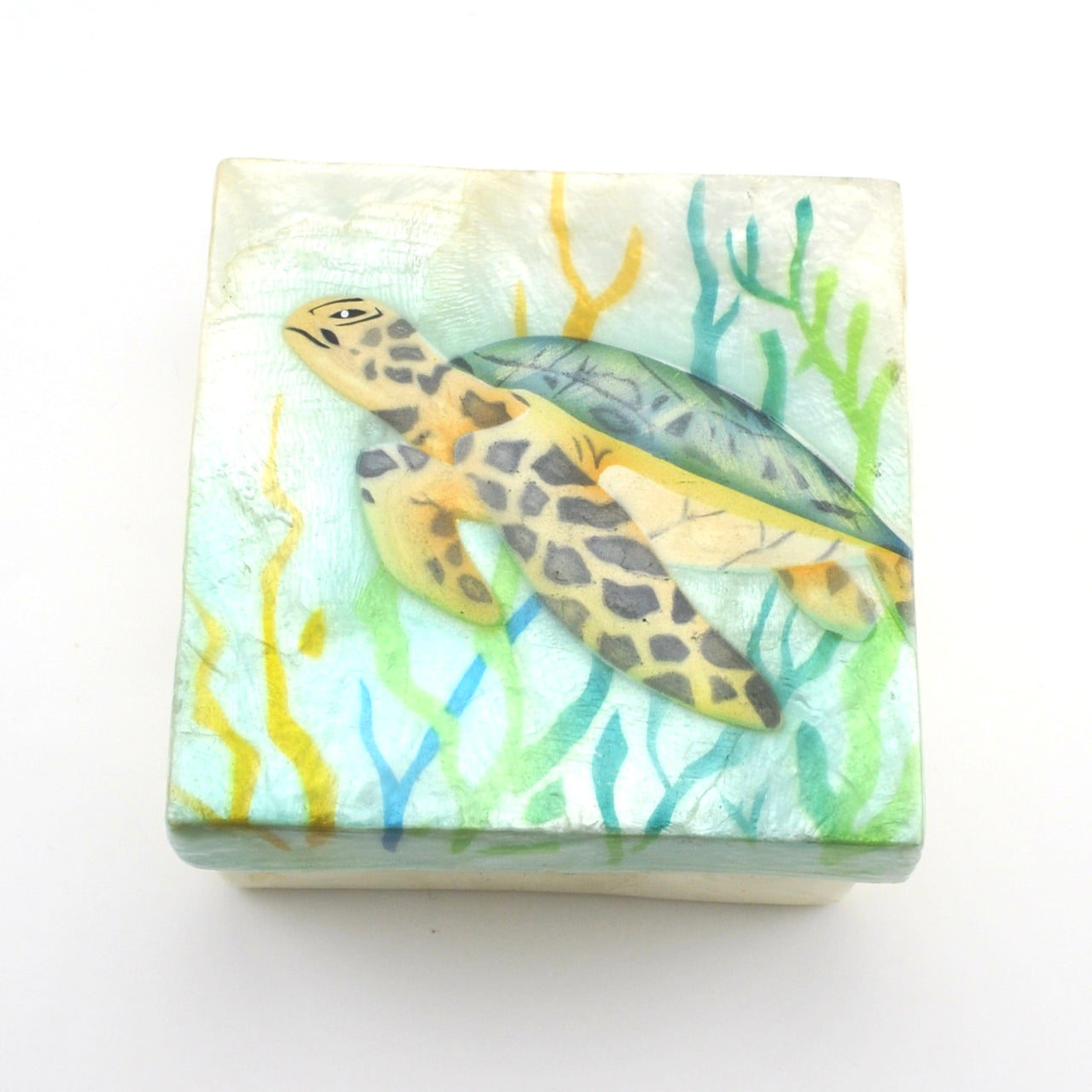 Alt View Sea Turtle Seaweed Capiz Box