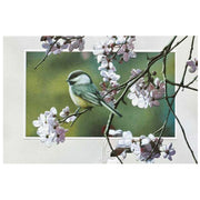 Plum Blossom Chickadee Birthday Card