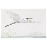 Blue Heron Birthday Card