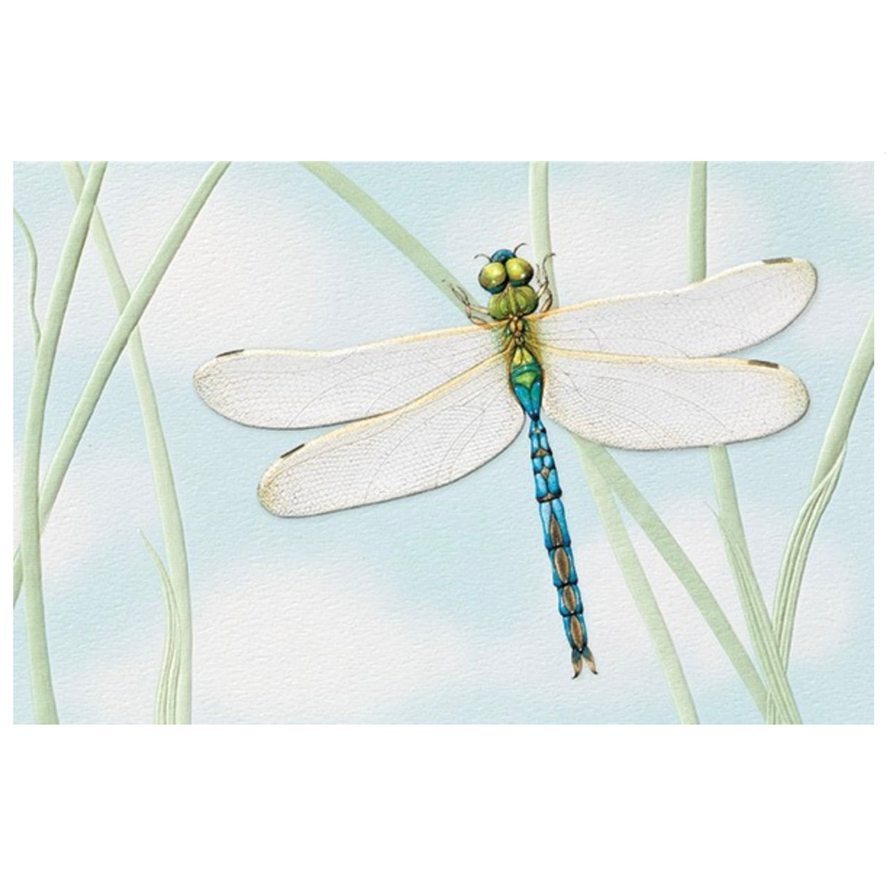 Green Darner Birthday Card