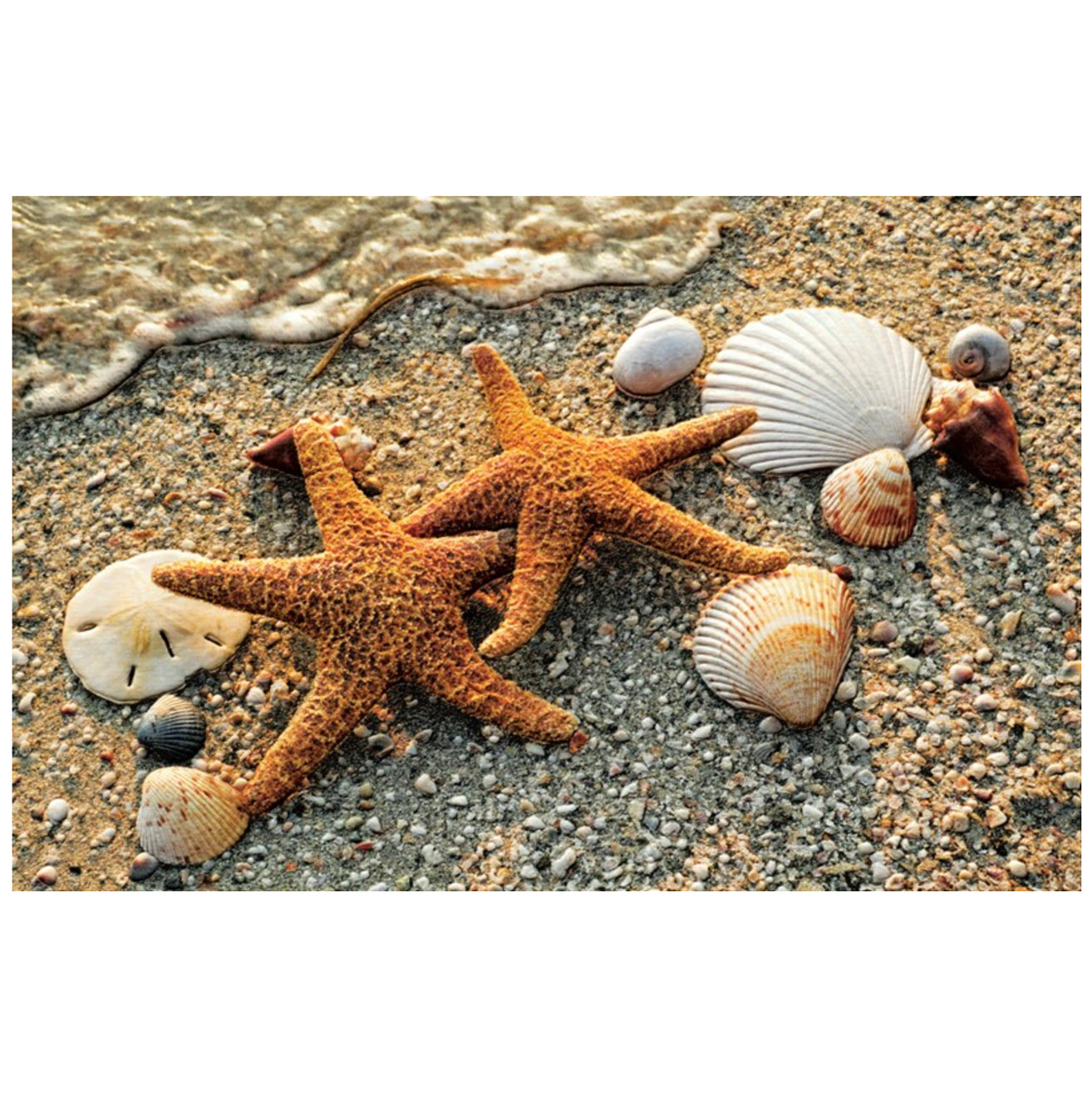 Starfish Pair Anniversary Card