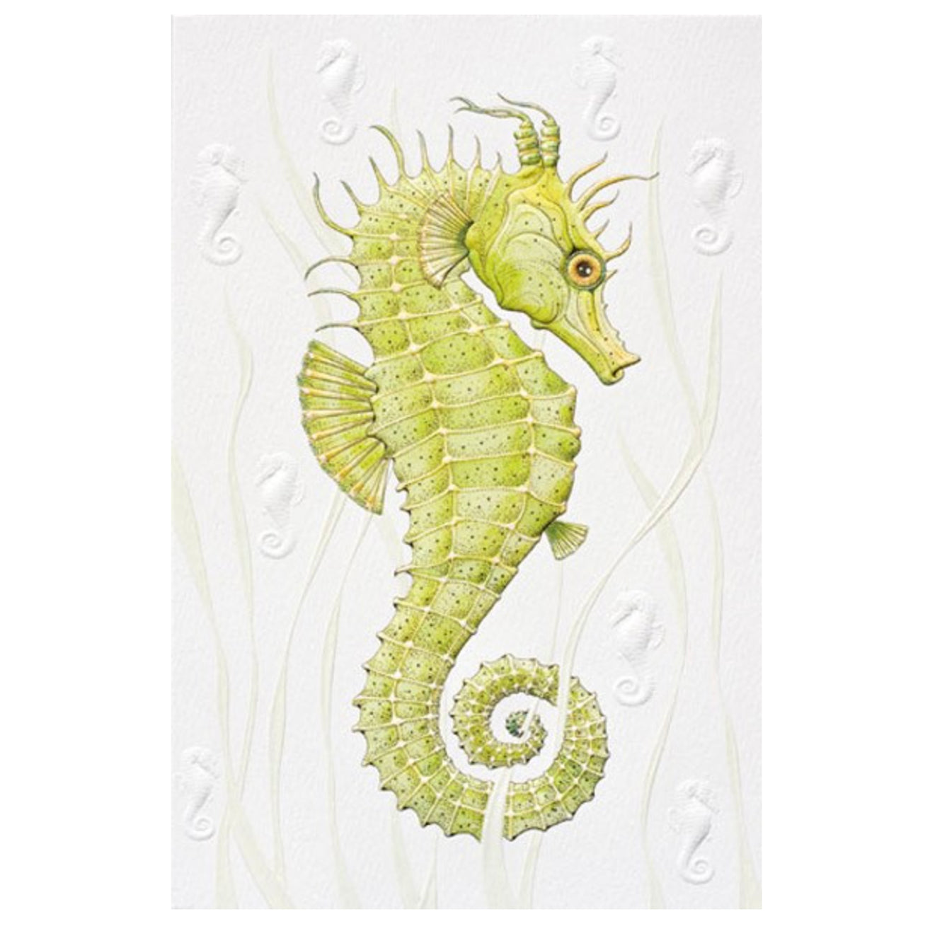 Seahorse Birthday Card