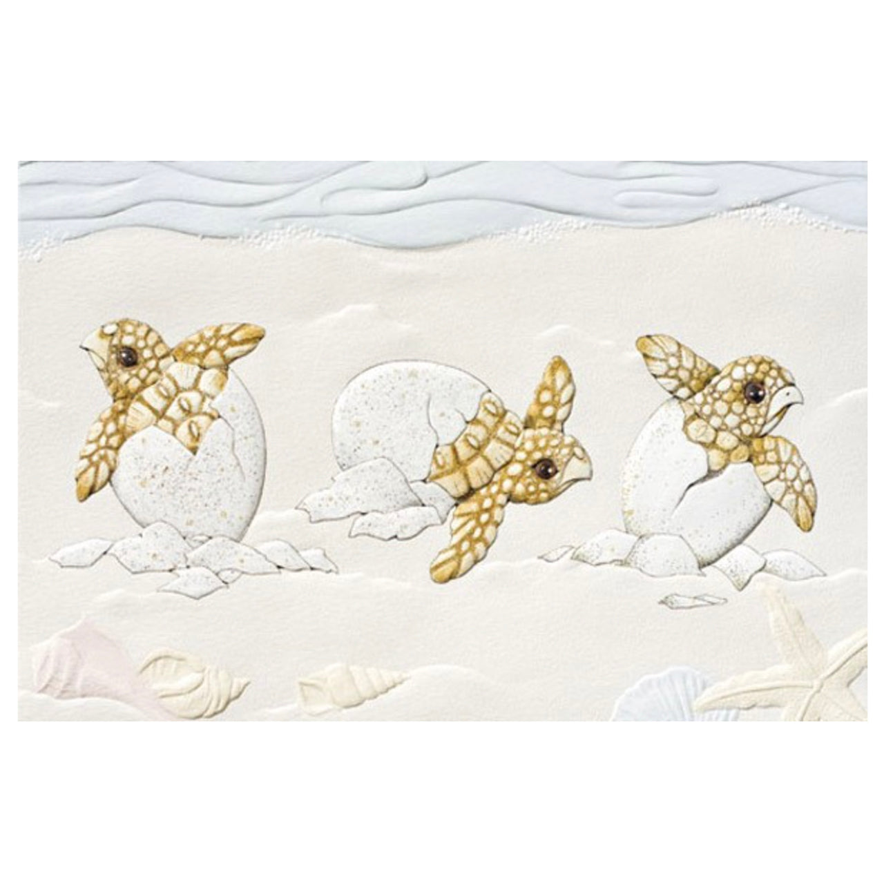 Turtle Time Birthday Card