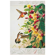 Rufus Hummingbird Birthday Card
