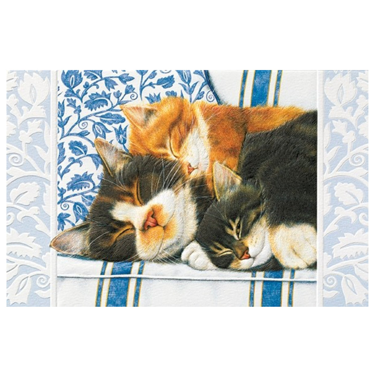 Sleepy Kittens Birthday Card