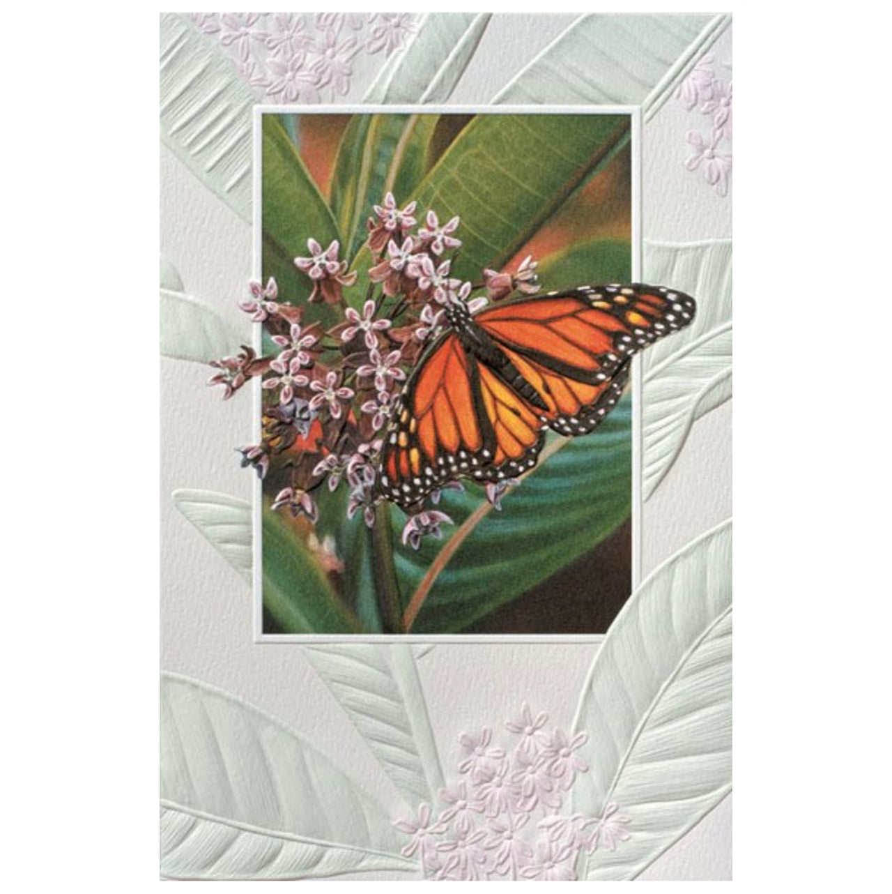 Monarch Butterfly Birthday Card