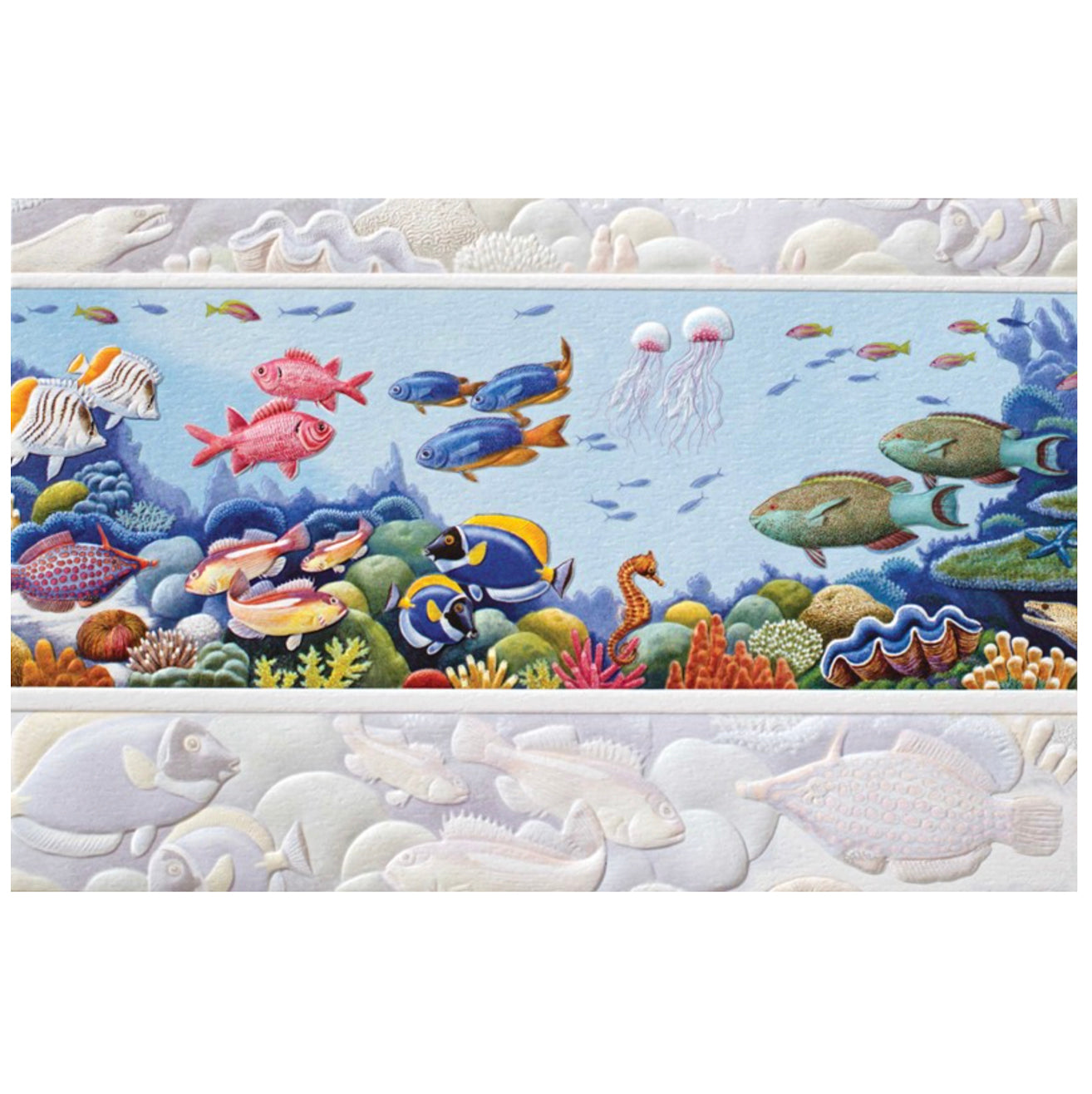 Reef Life Birthday Card