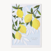 Citrus Layers Greeting Card