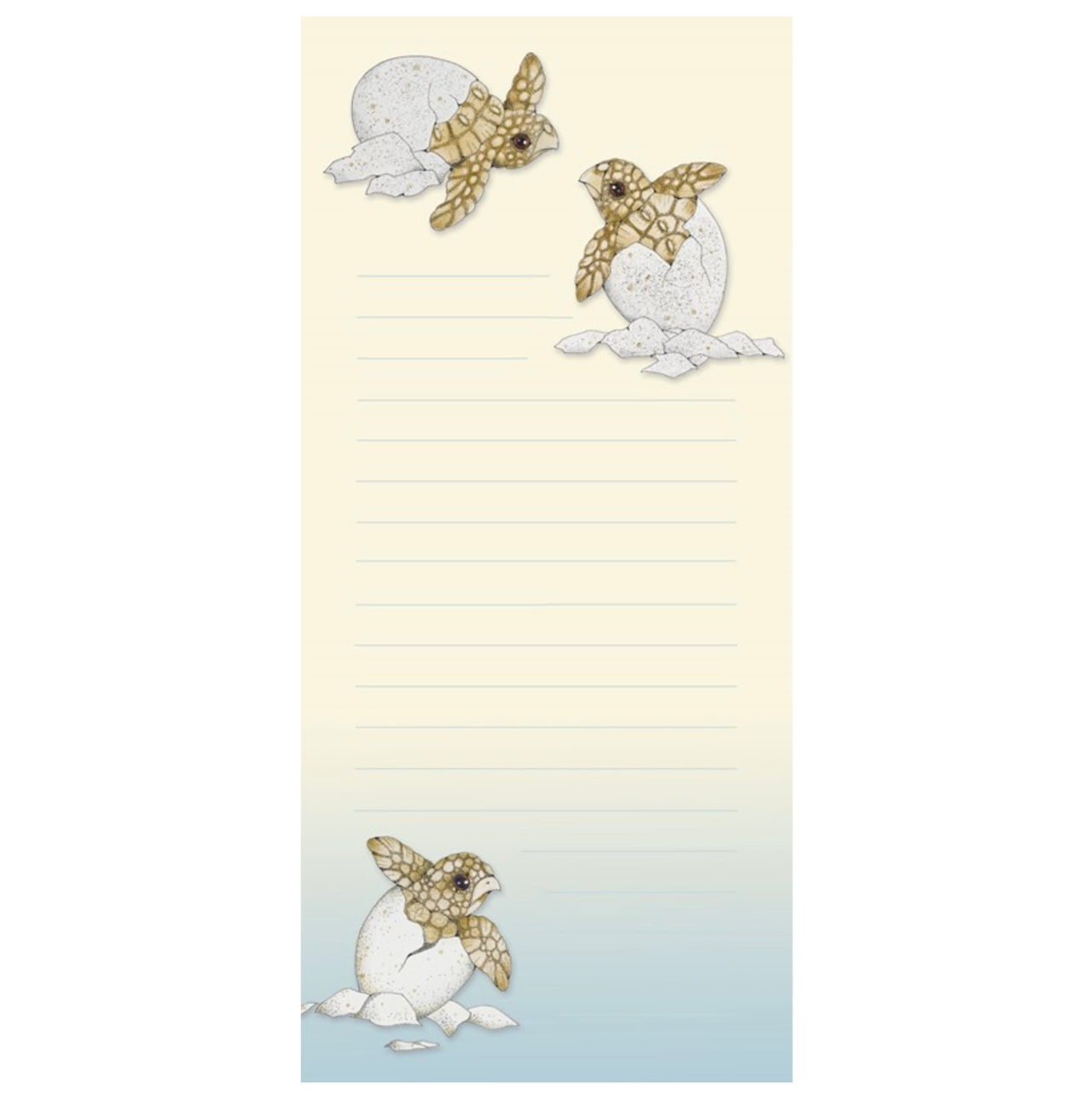 Turtle Hatchlings Note Pad