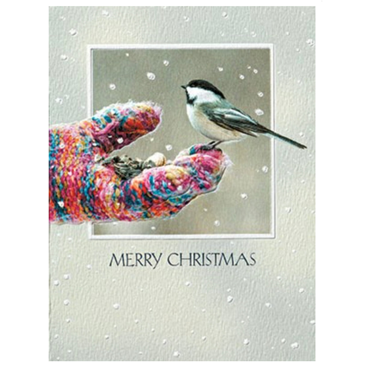 Mitten Snack Holiday Card Set