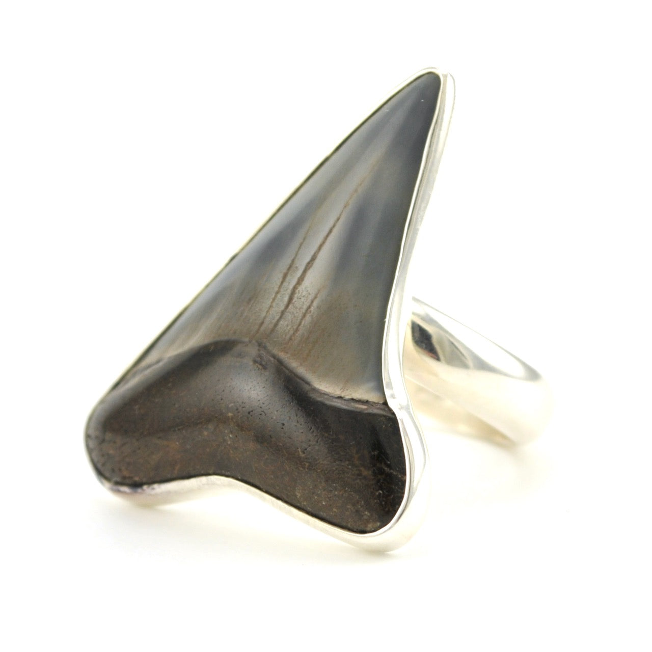 Sterling Silver Fossil Shark Tooth Adjustable Ring