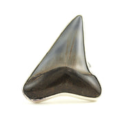 Alt View Sterling Silver Fossil Shark Tooth Adjustable Ring