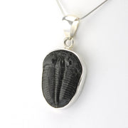 Silver Trilobite Pendant