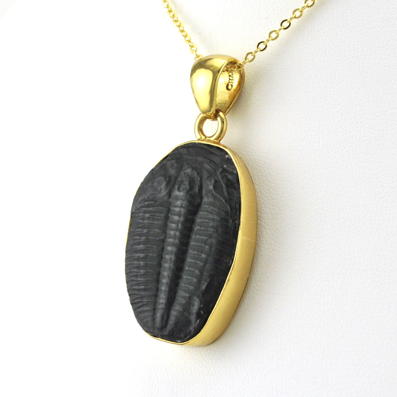 Alchemía Trilobite Pendant