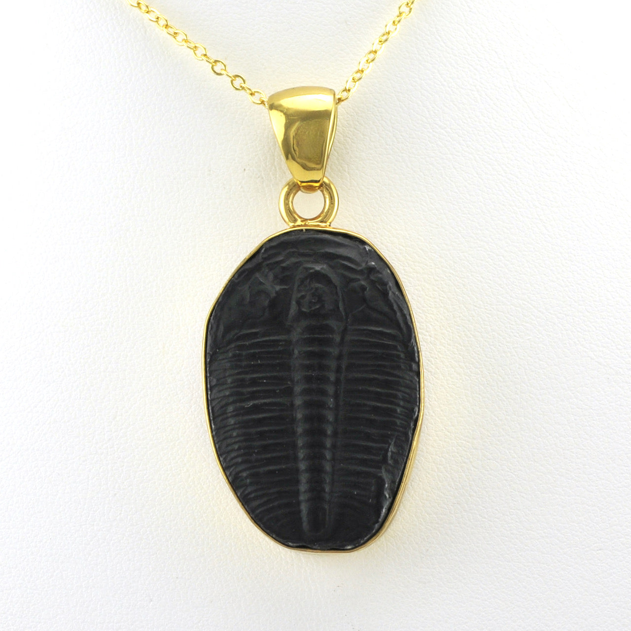 Alt View Alchemía Trilobite Pendant