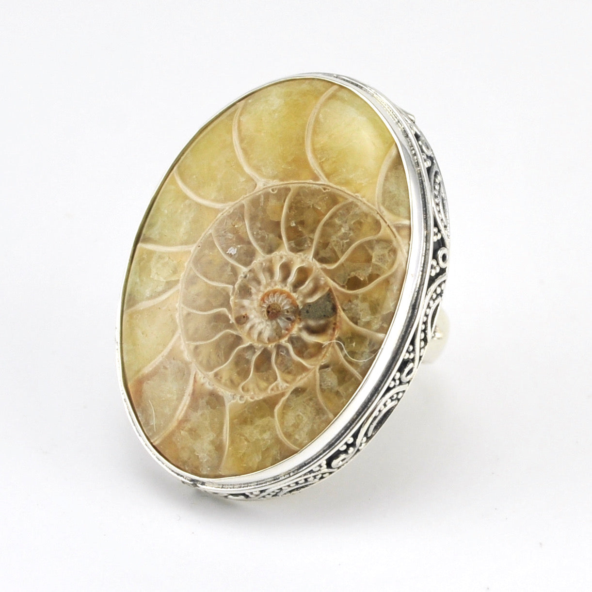 Sterling Silver Ammonite Oval Bali Ring