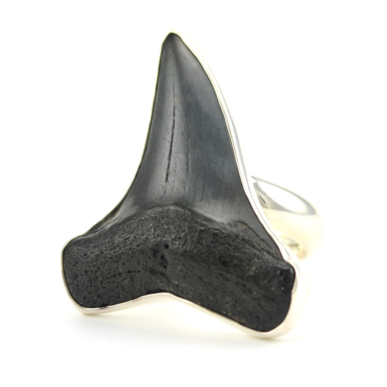 Sterling Silver Fossil Shark Tooth Ring