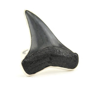 Alt View Sterling Silver Fossil Shark Tooth Ring
