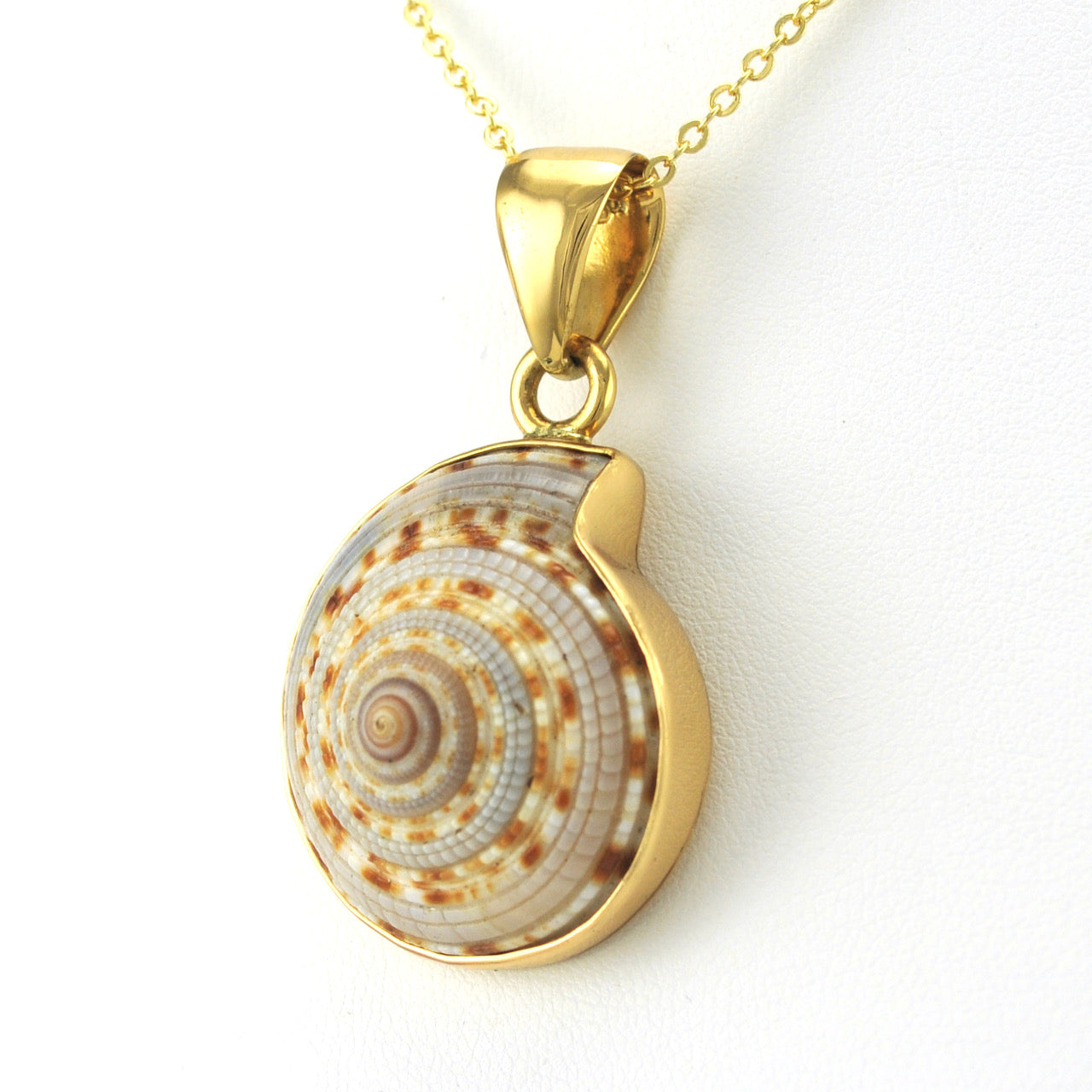 Alchemía Sundial Shell Pendant