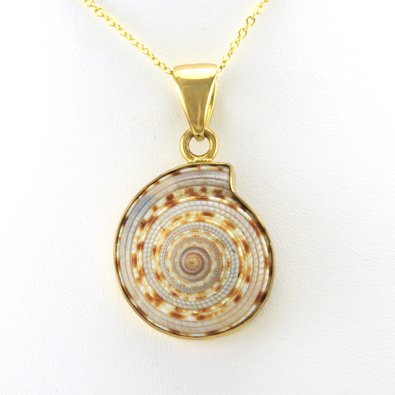 Alt View Alchemía Sundial Shell Pendant